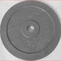 Диск технический тренировочный 5 кг., цвет серый 